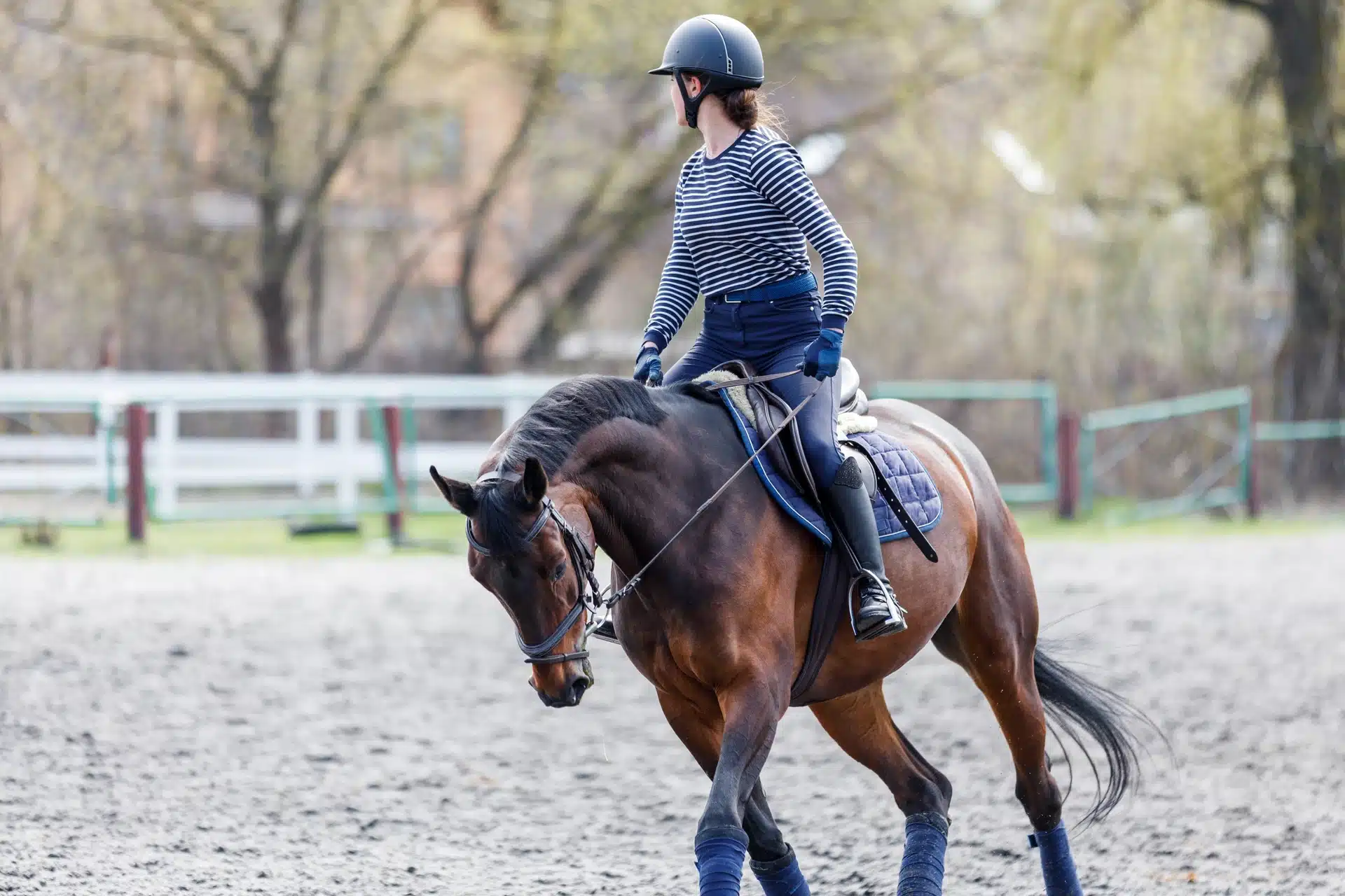 Read More About The Article Physio Warm-Ups For Riders: Prevent Strain Before You Mount