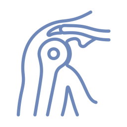 Physiotherapy In Edmonton